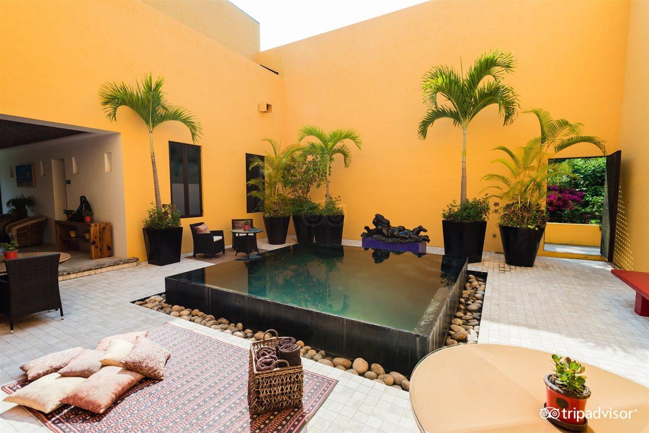 Villa Azalea Inn & Organic Farm JALISCO Exteriér fotografie