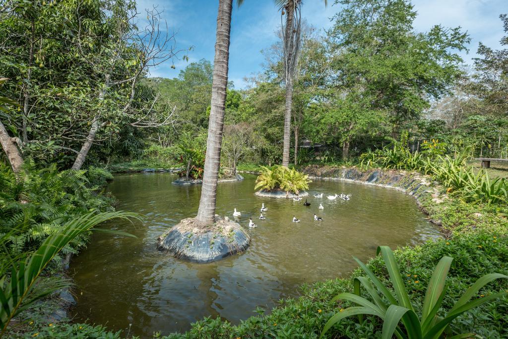 Villa Azalea Inn & Organic Farm JALISCO Exteriér fotografie