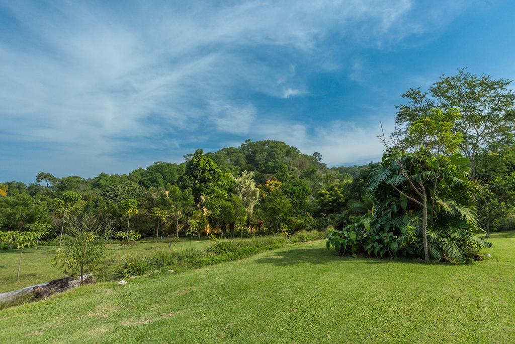 Villa Azalea Inn & Organic Farm JALISCO Exteriér fotografie